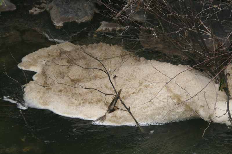 Nieuw-Zeeland 2011 - 0707